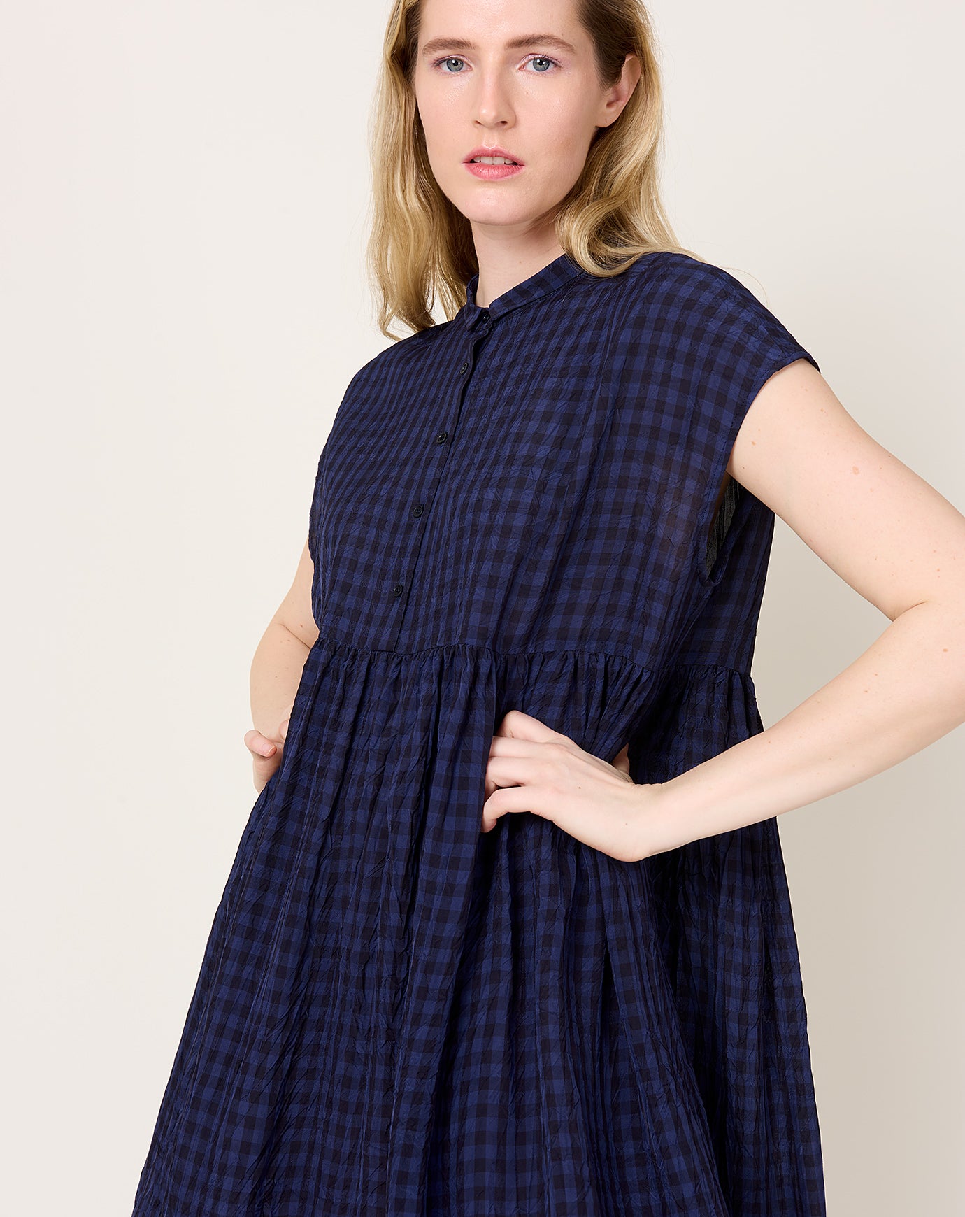 apuntob Crinkle Vichy Collared Dress in Night