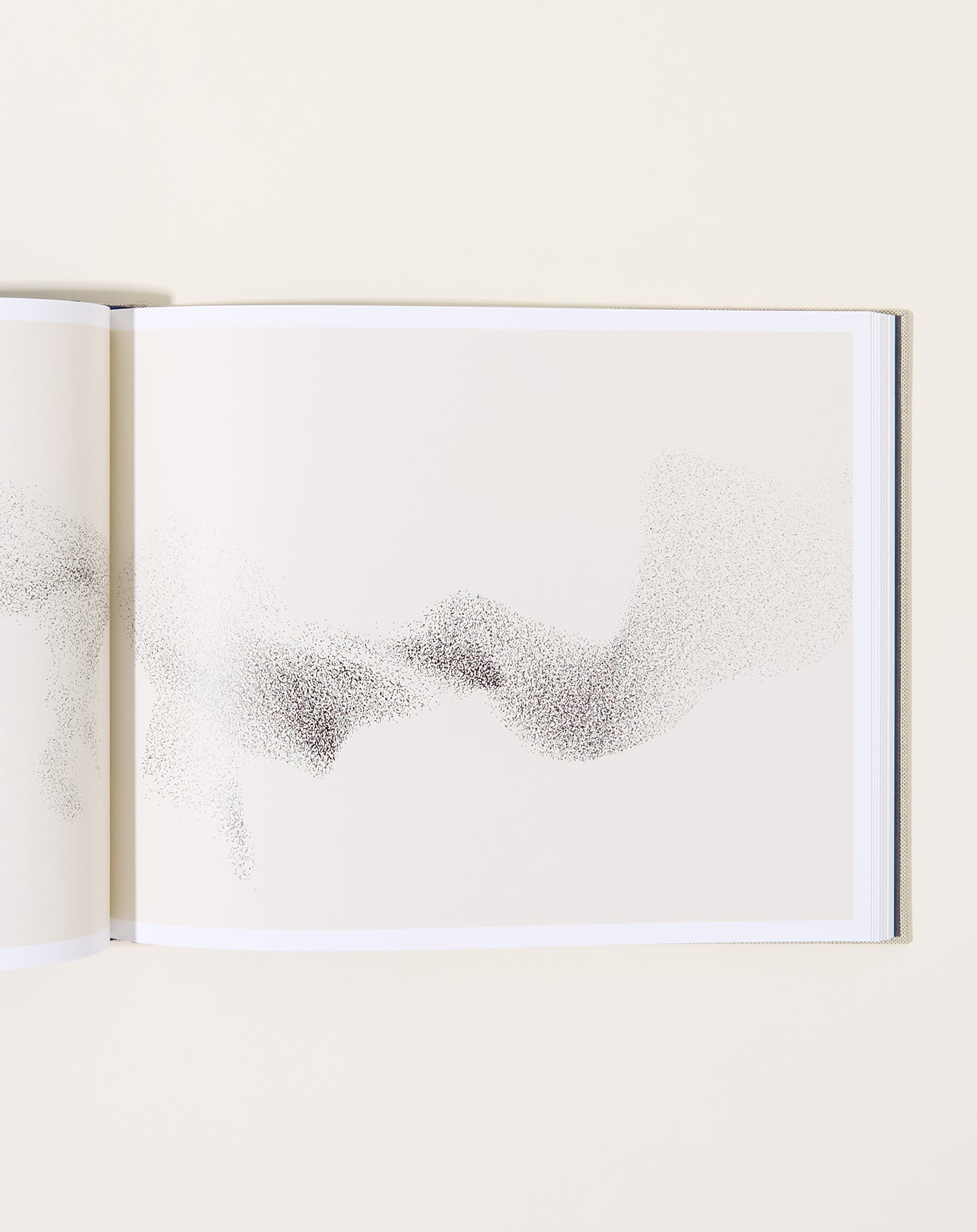 Artbook Søren Solkær: Starling