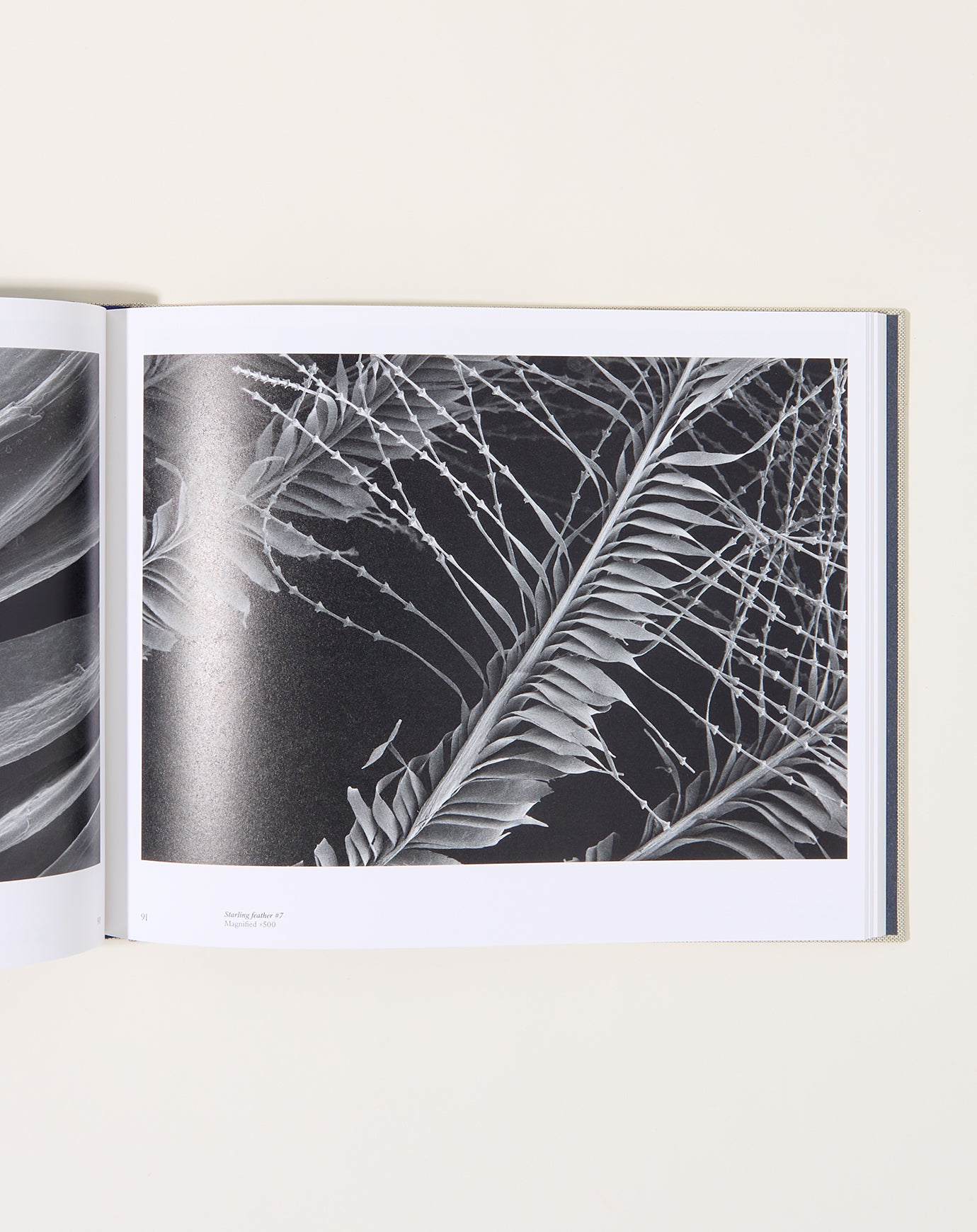 Artbook Søren Solkær: Starling