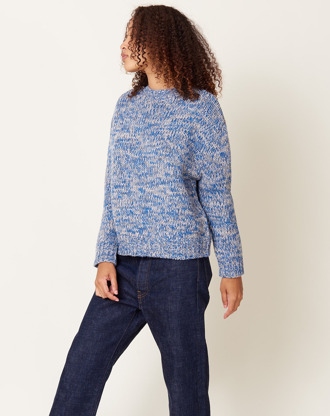 Demylee Kiriya Sweater in Blue Combo