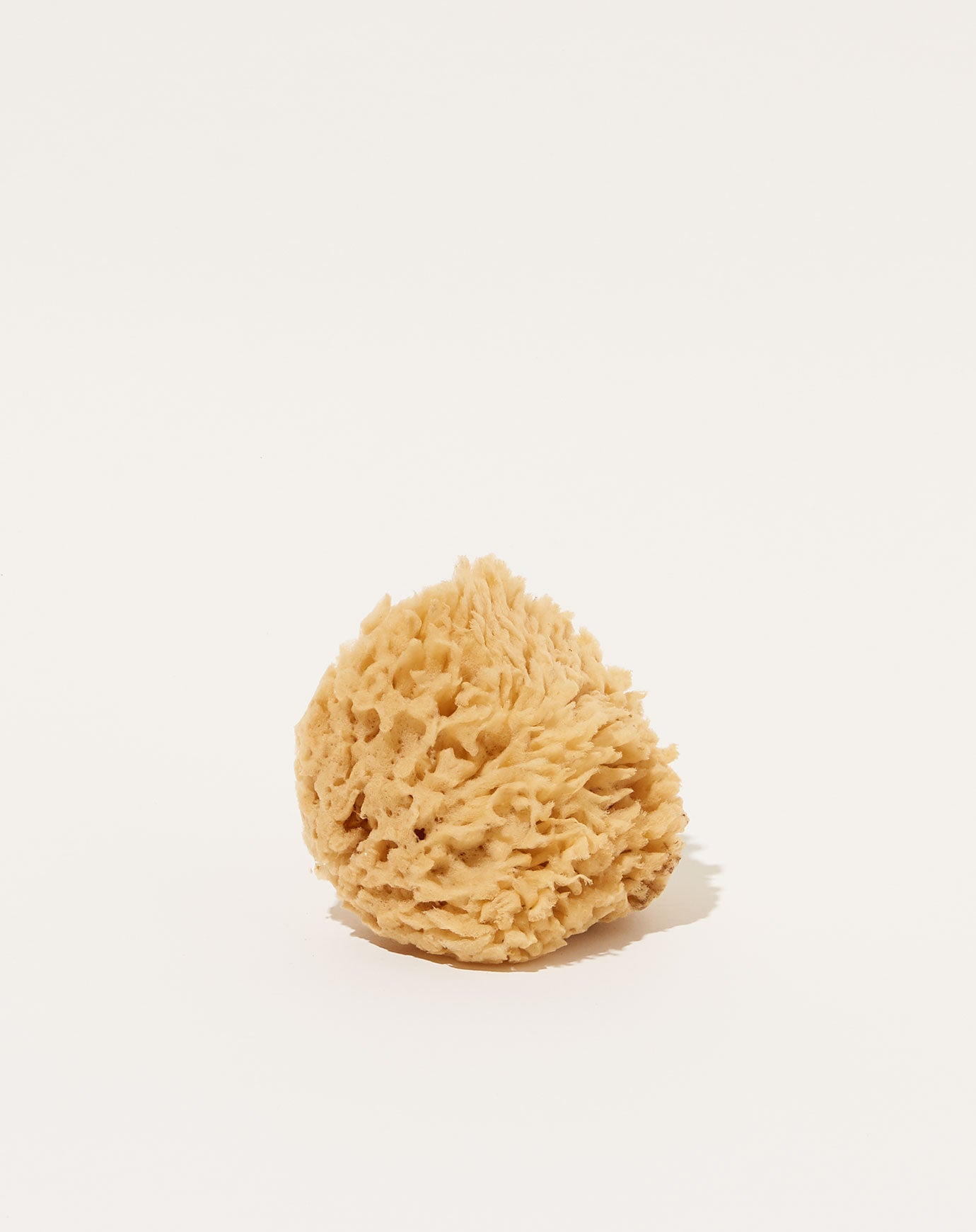 Fredericks & Mae Natural Sea Sponge