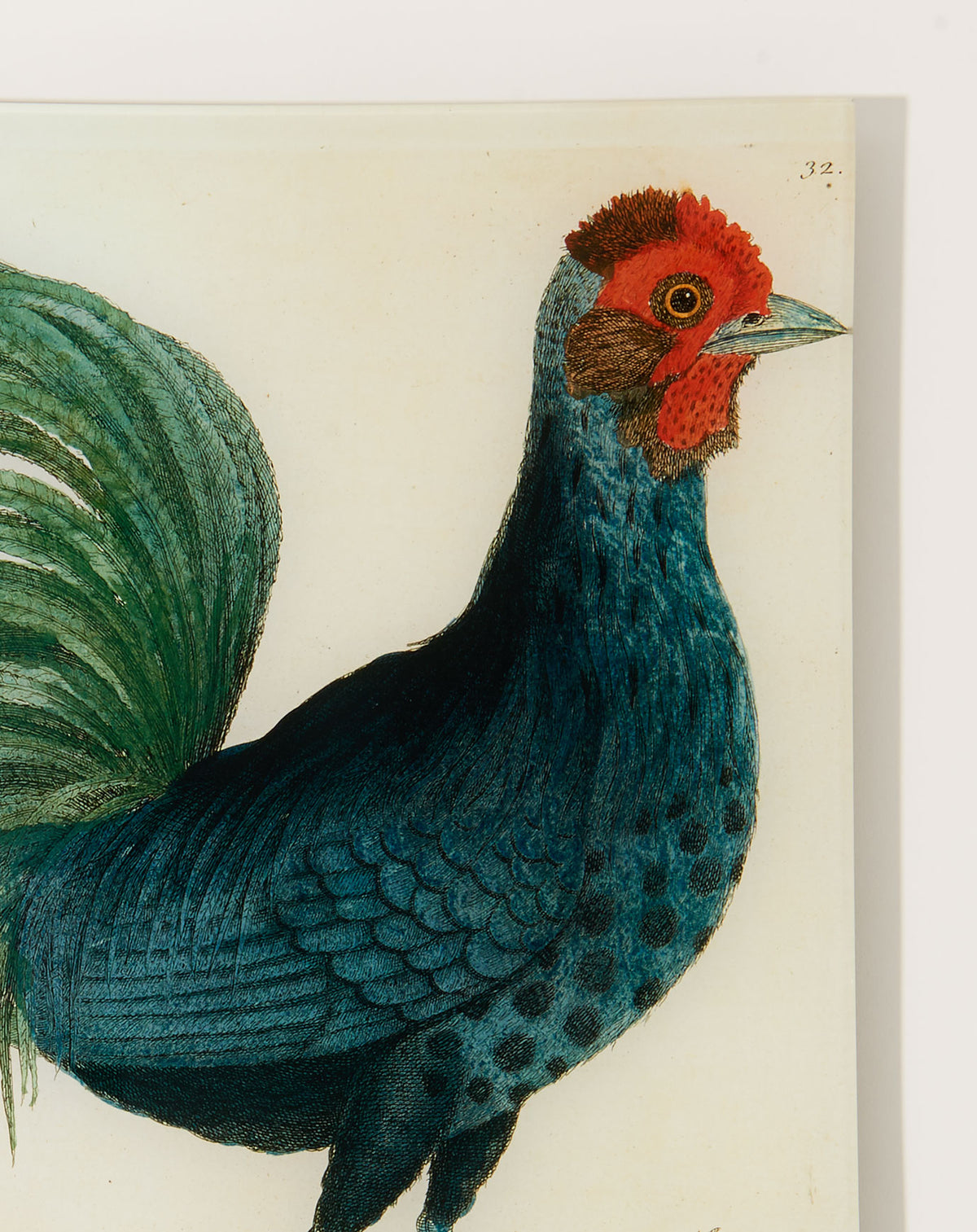 17 Hamburg Cock Tray | John Derian | Covet + Lou | Covet + Lou