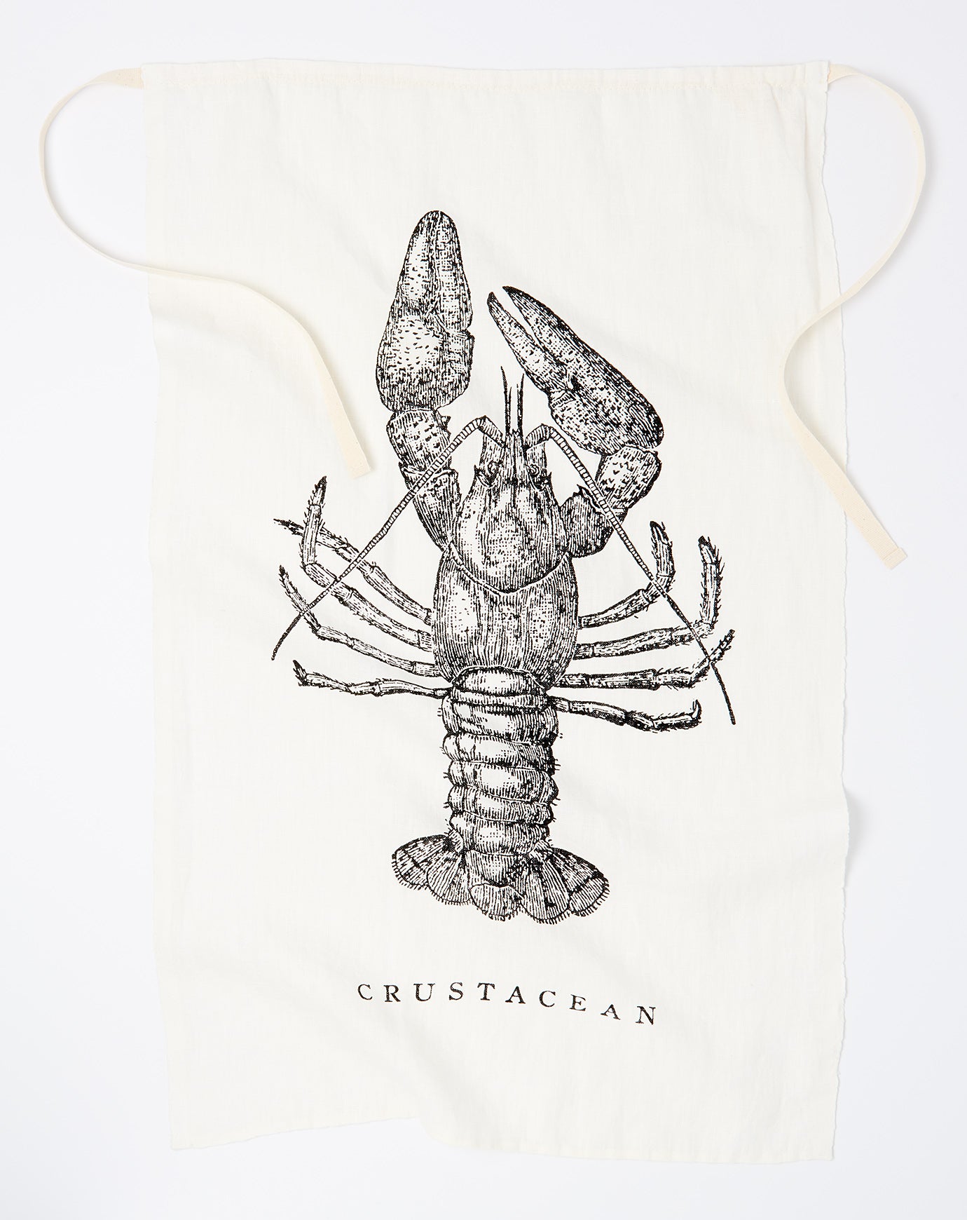 Sir Madam Crustacian Bib