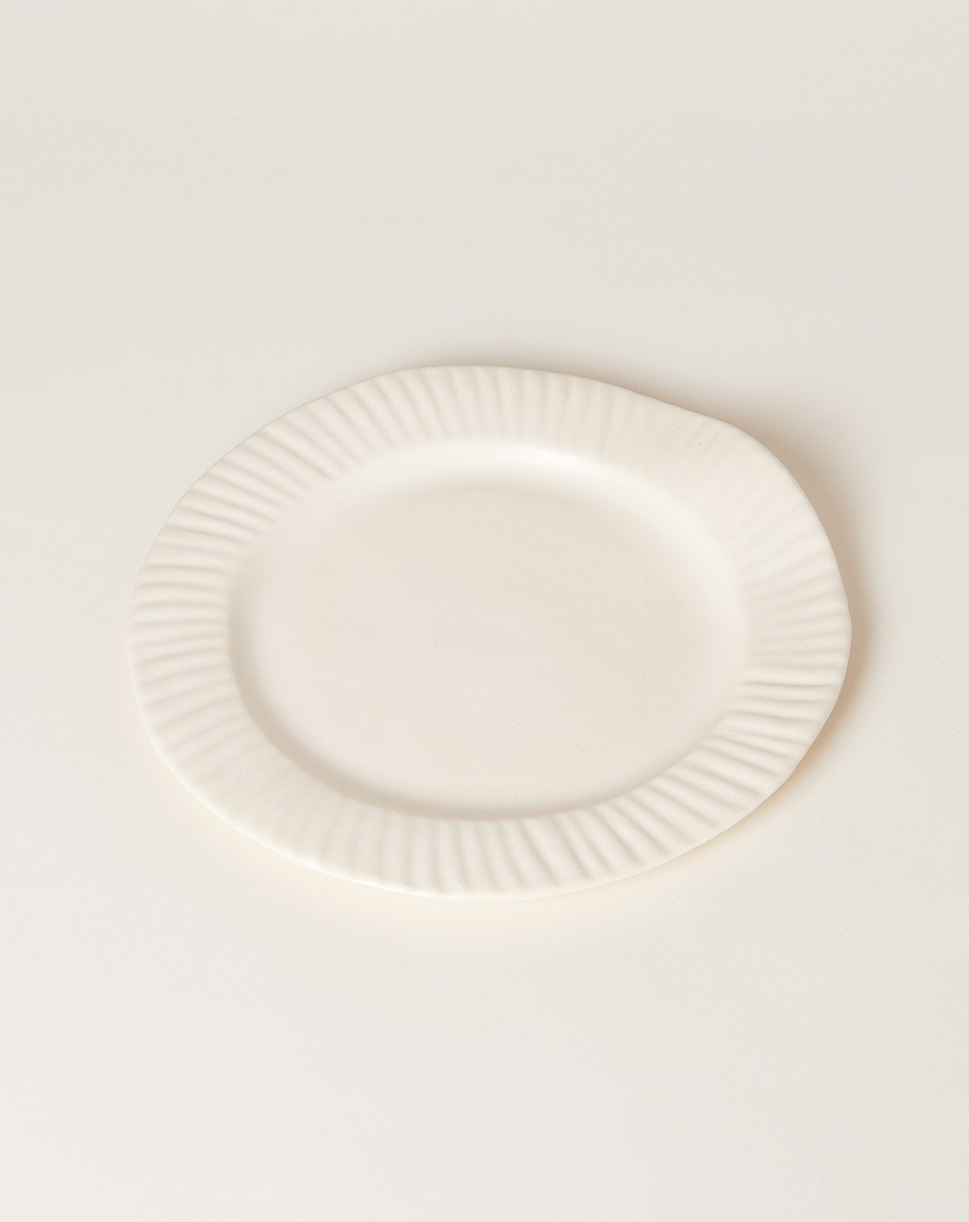 SIN Large Paper Plate