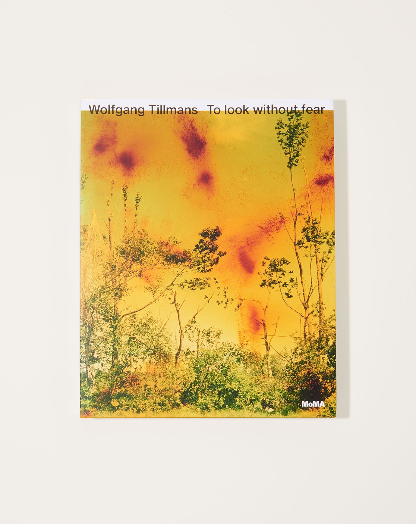 Wolfgang Tillmans: To look without fear