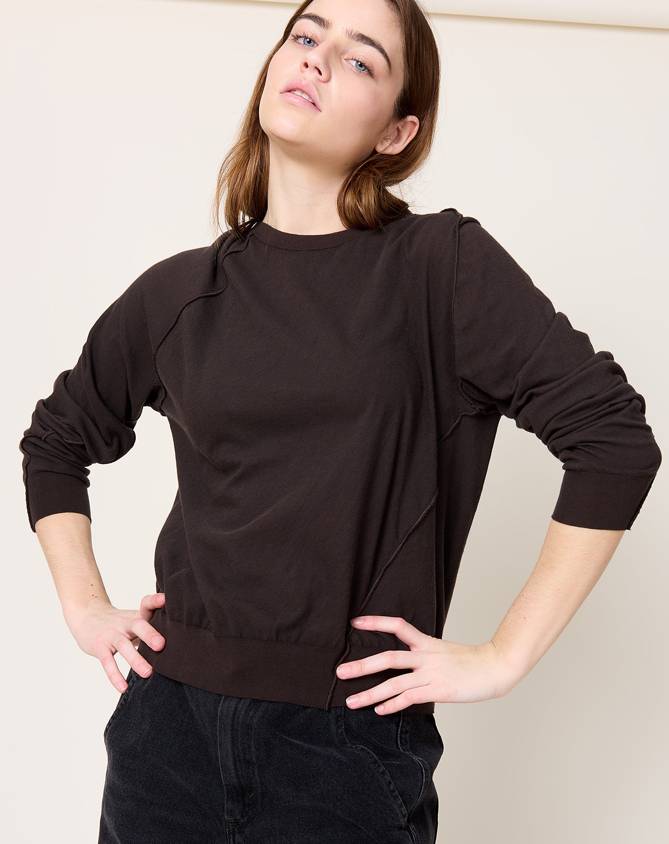 6397 Inside Out Crewneck in Espresso