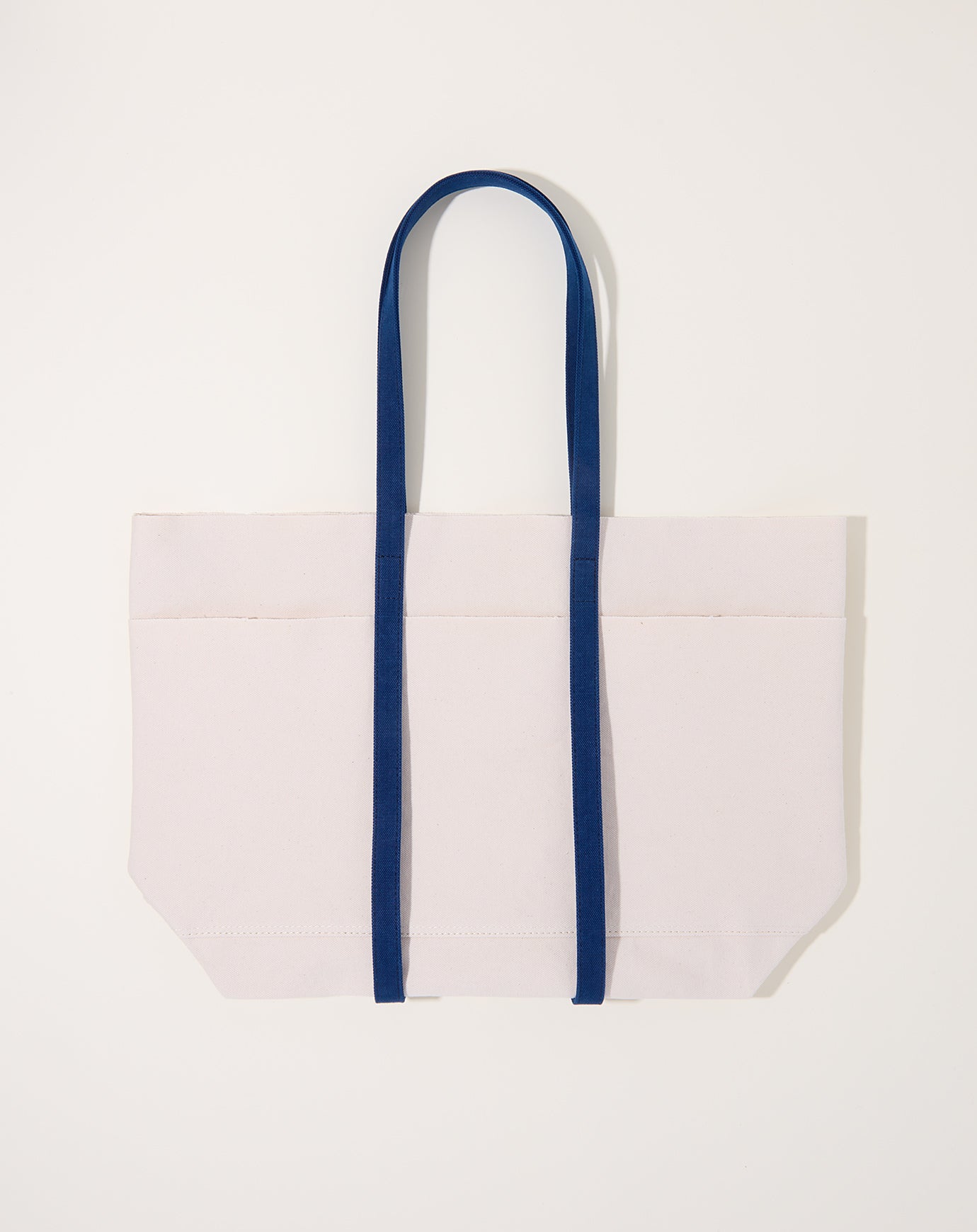 Amiacalva Washed Canvas 2 Tone Tote in Blue