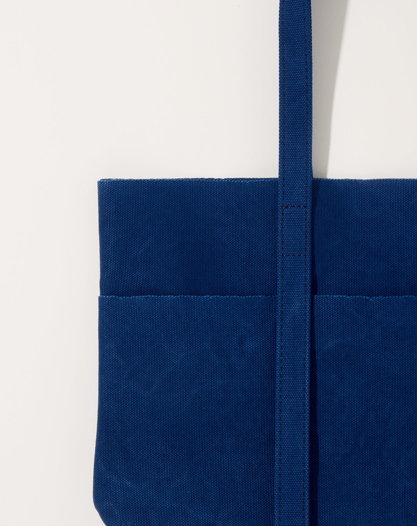 Amiacalva Washed Canvas 6 Pocket Small Tote in Blue
