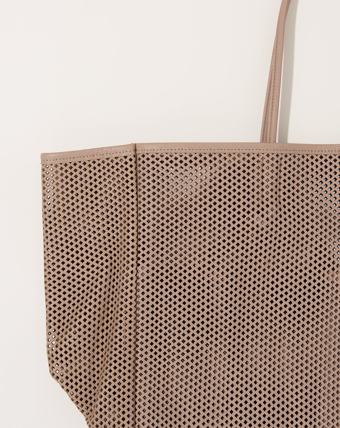 Amiacalva Washed Leather Mesh Tote in Beige
