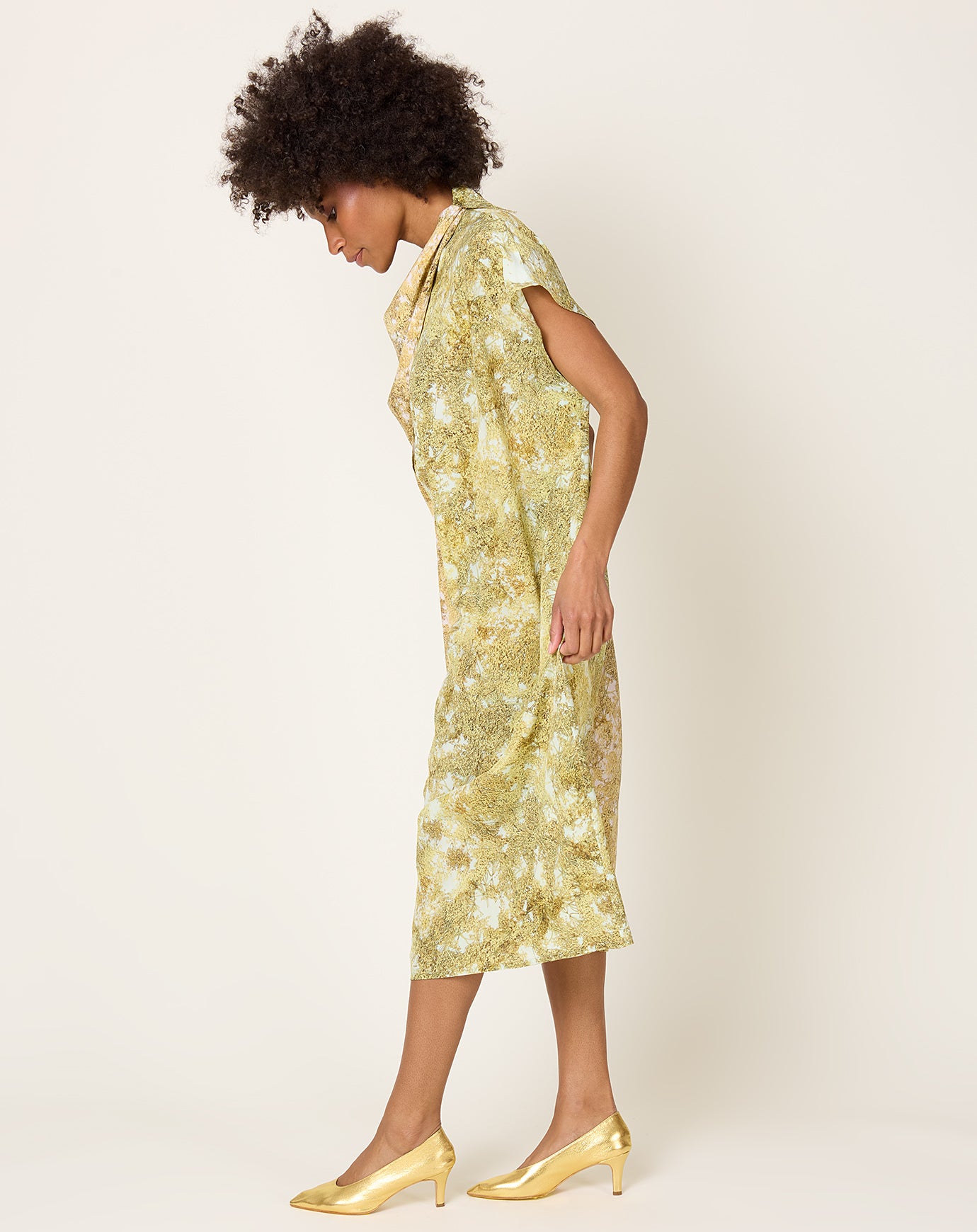 Anntian Peak Silk Dress in PRINT N