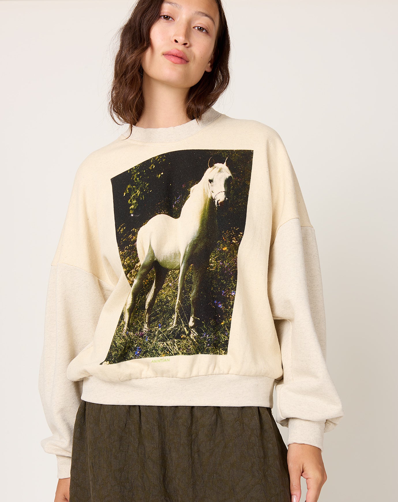 Anntian Classic Sweatshirt in Horse Print