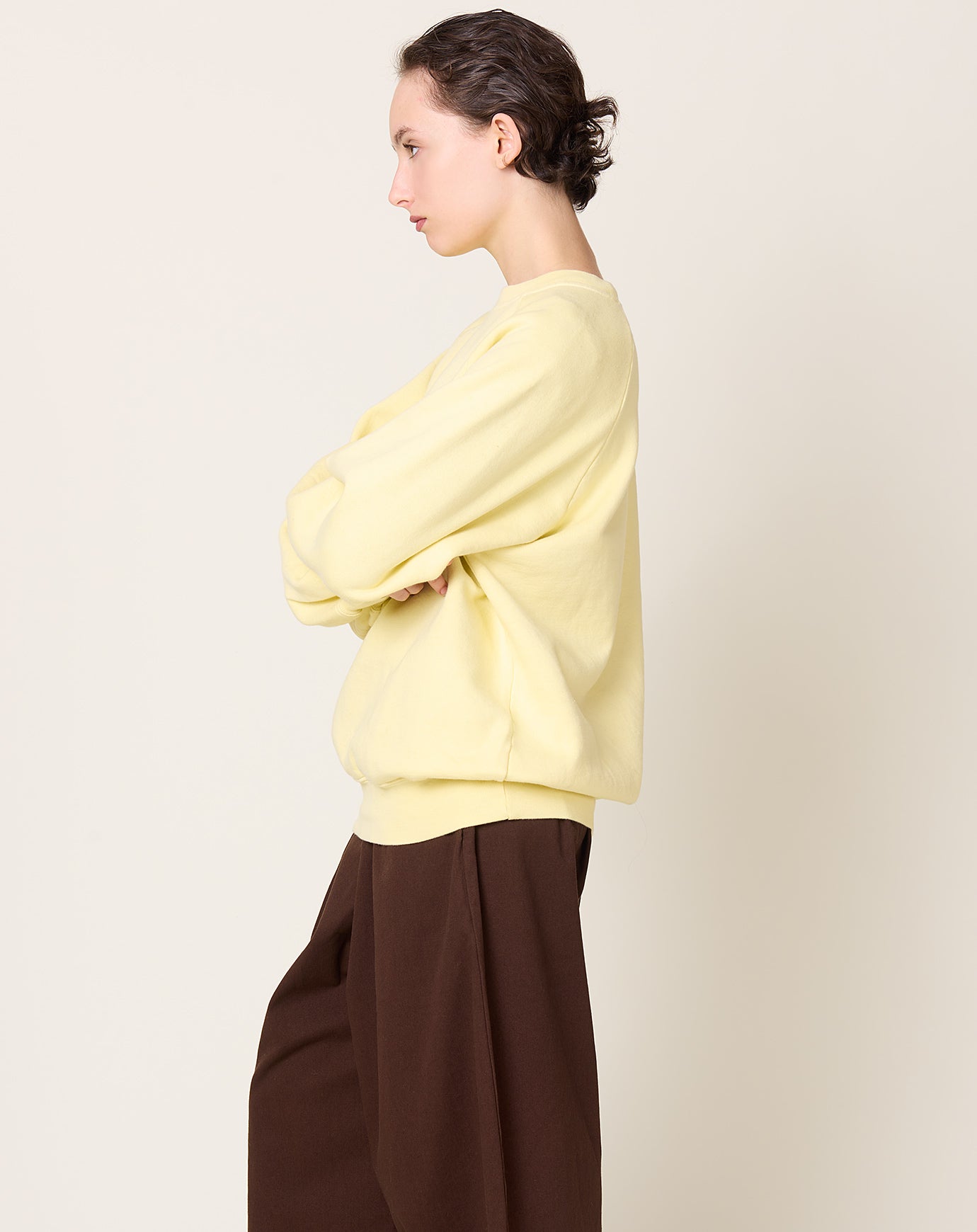 Black Crane Raglan Sweatshirt in Custard