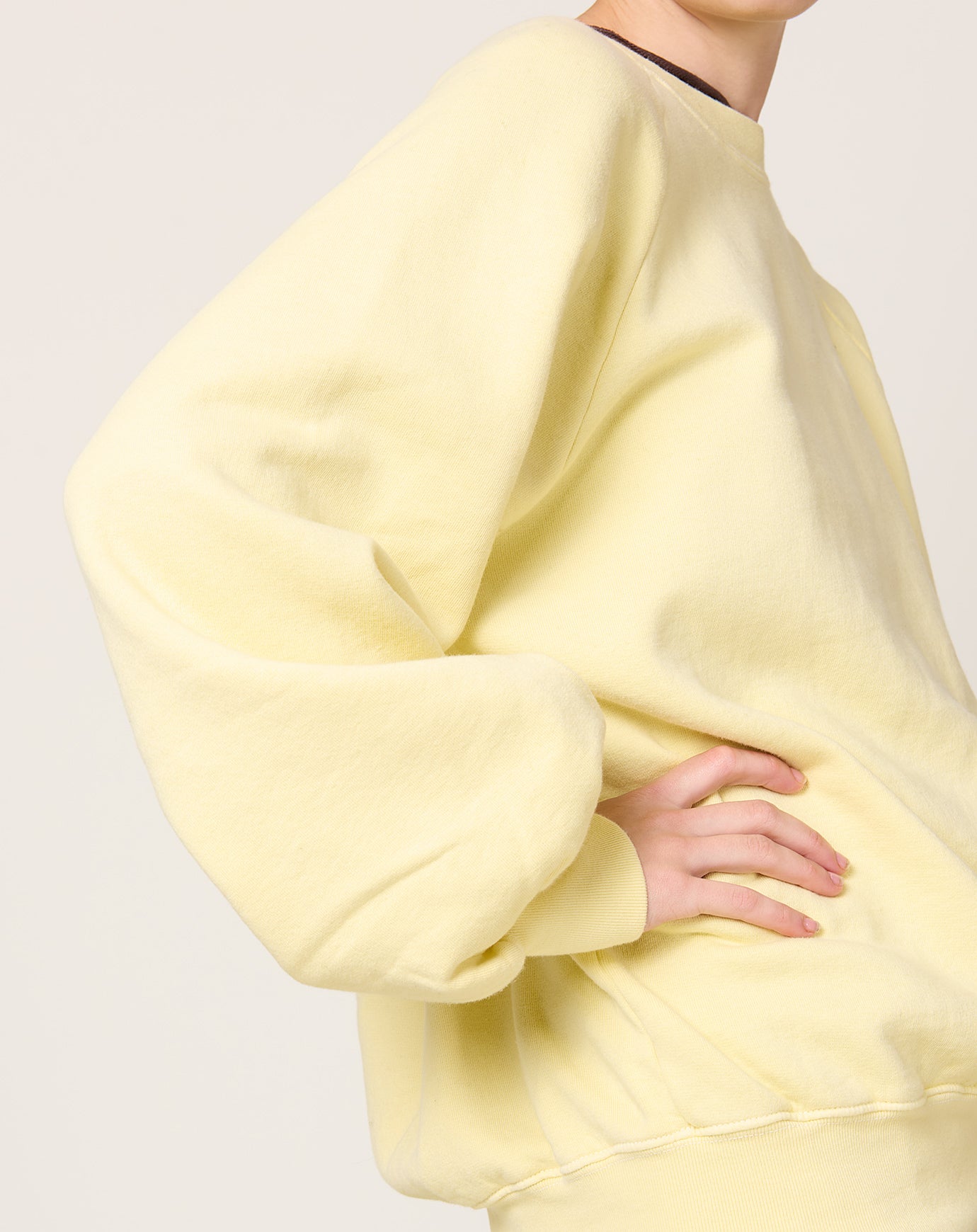 Black Crane Raglan Sweatshirt in Custard
