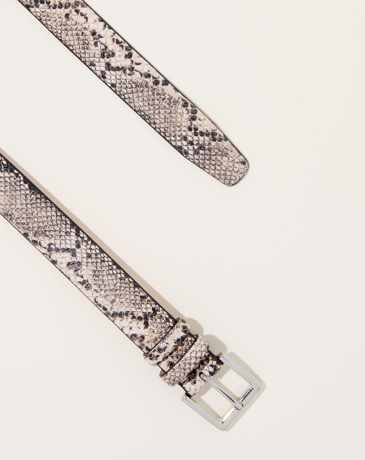 Cordera Classic Belt in Snake