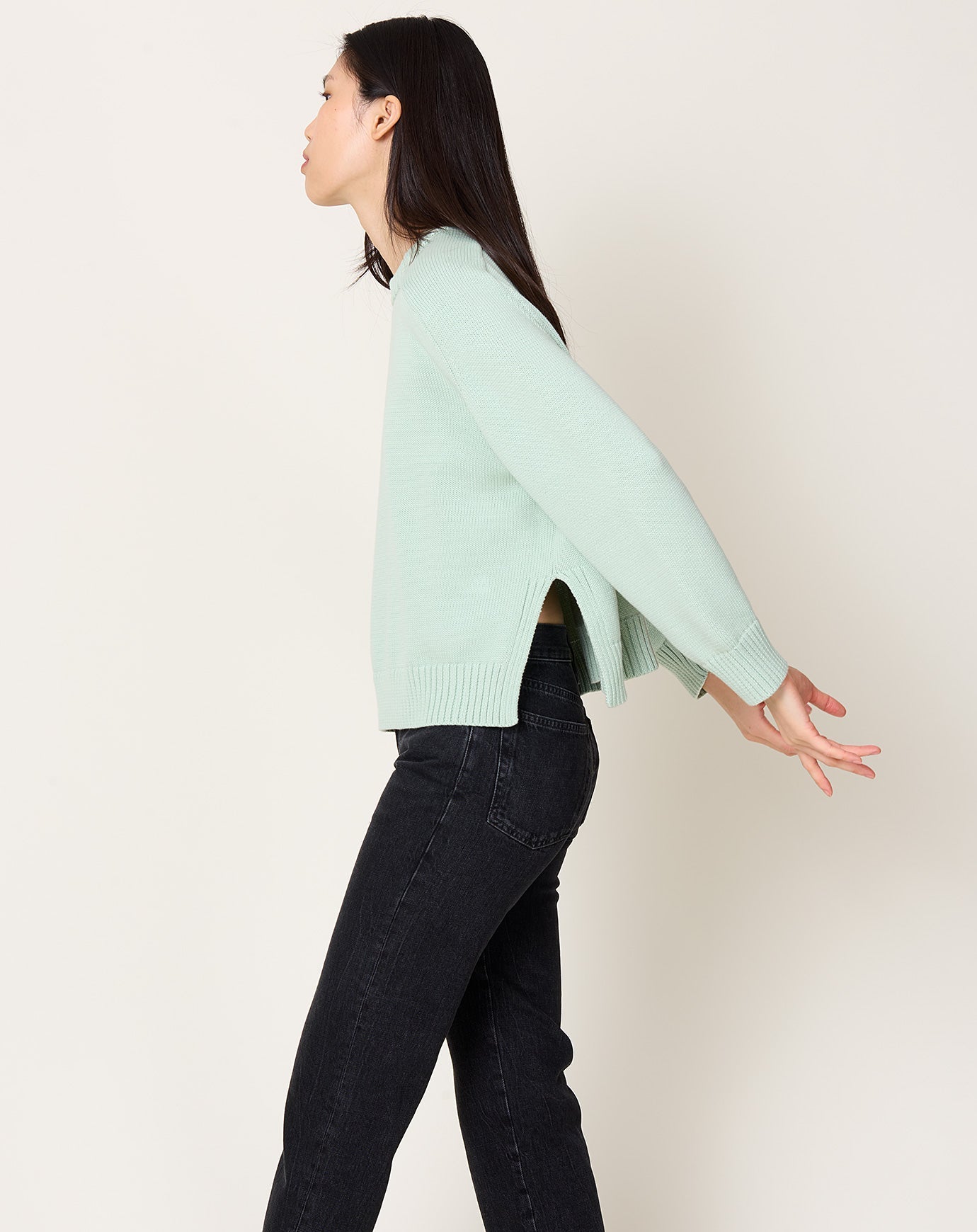 Demylee Haruhi Sweater in Mint