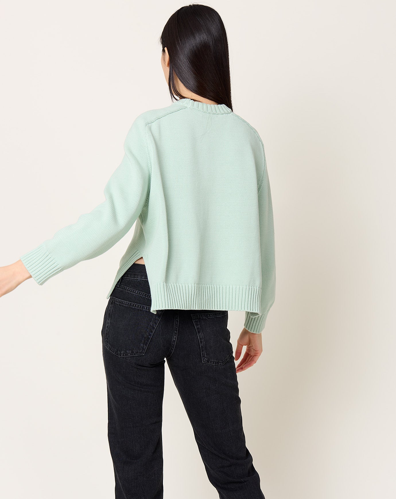 Demylee Haruhi Sweater in Mint