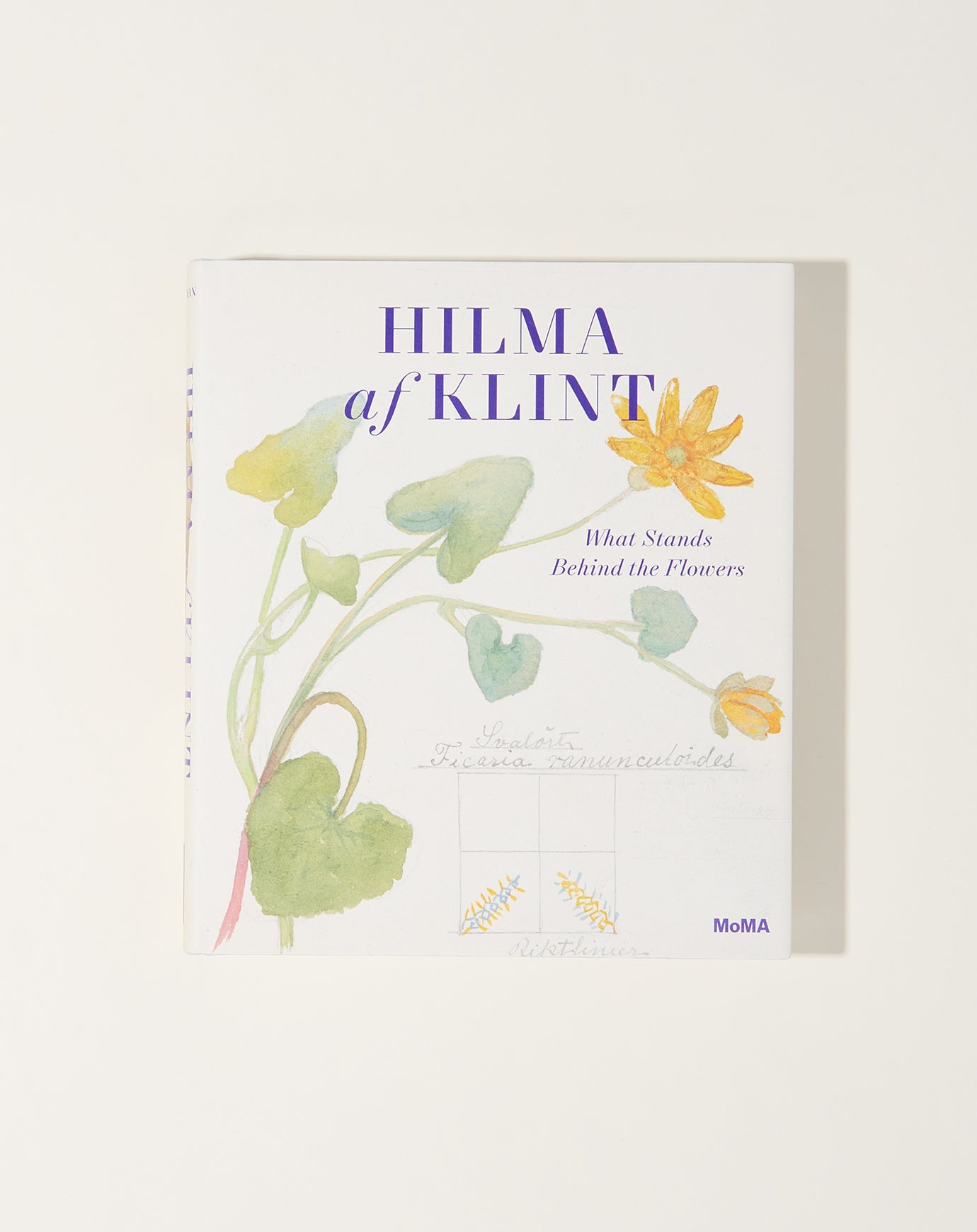 Artbook Hilma af Klint: What Stands Behind the Flowers
