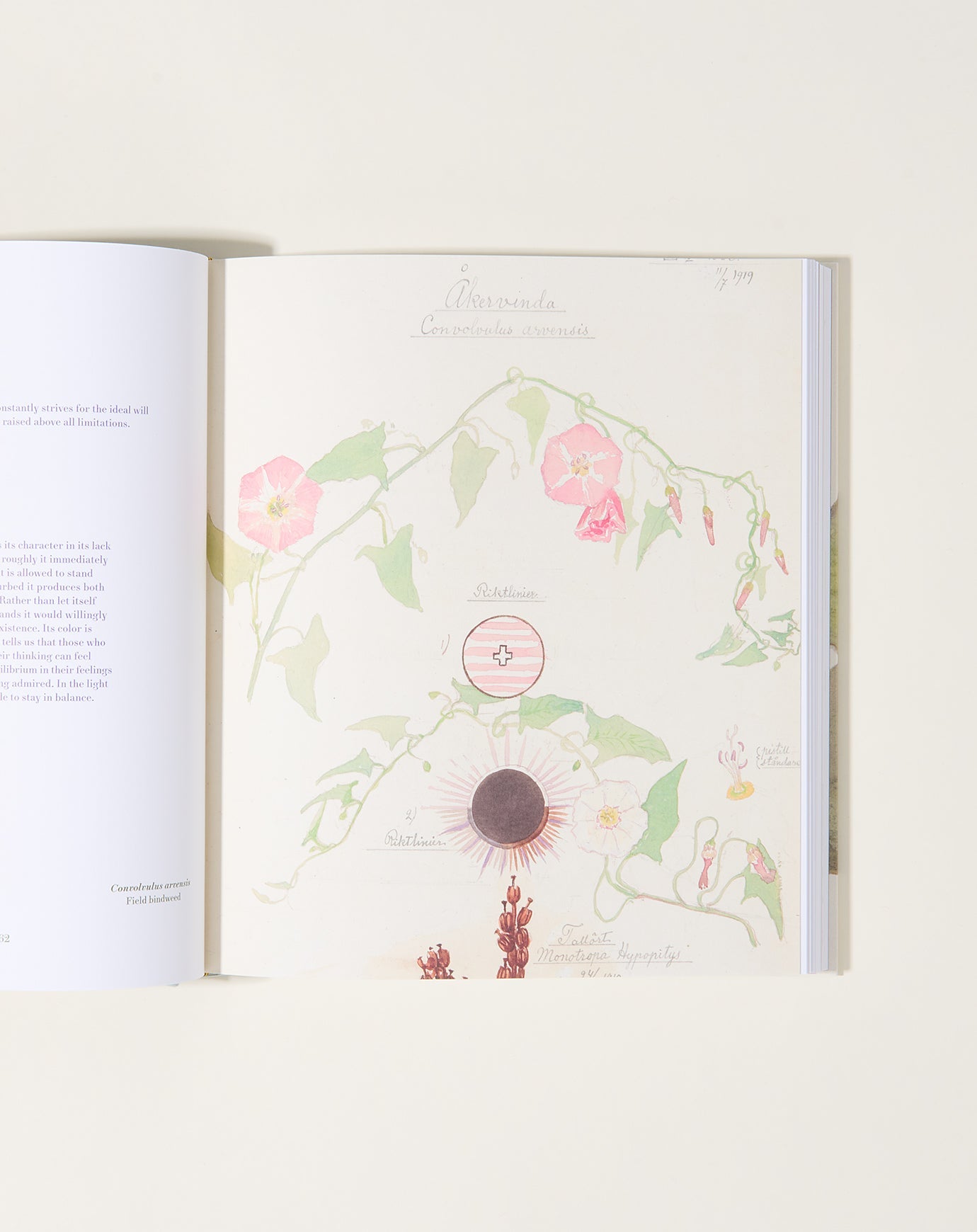 Artbook Hilma af Klint: What Stands Behind the Flowers