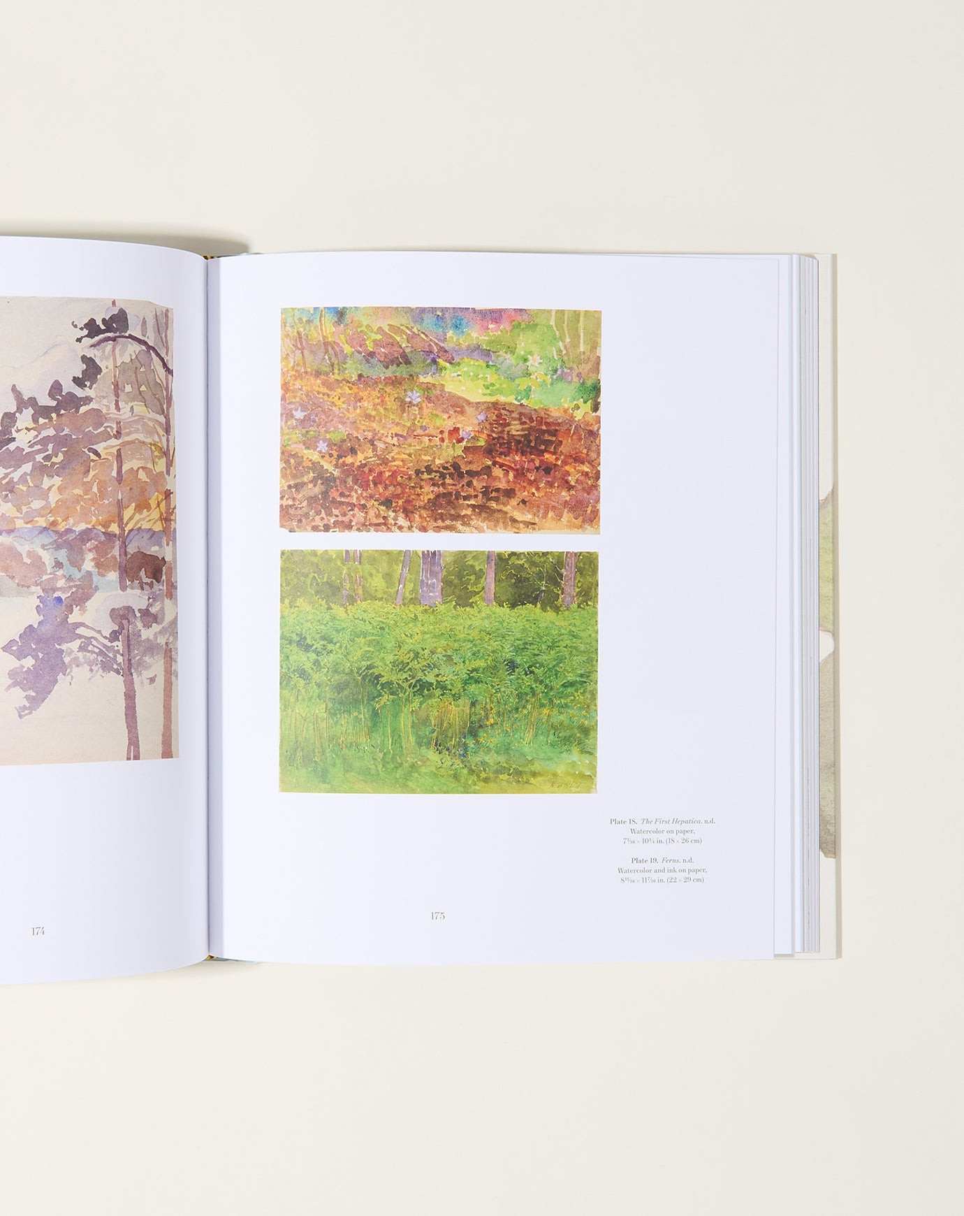 Artbook Hilma af Klint: What Stands Behind the Flowers