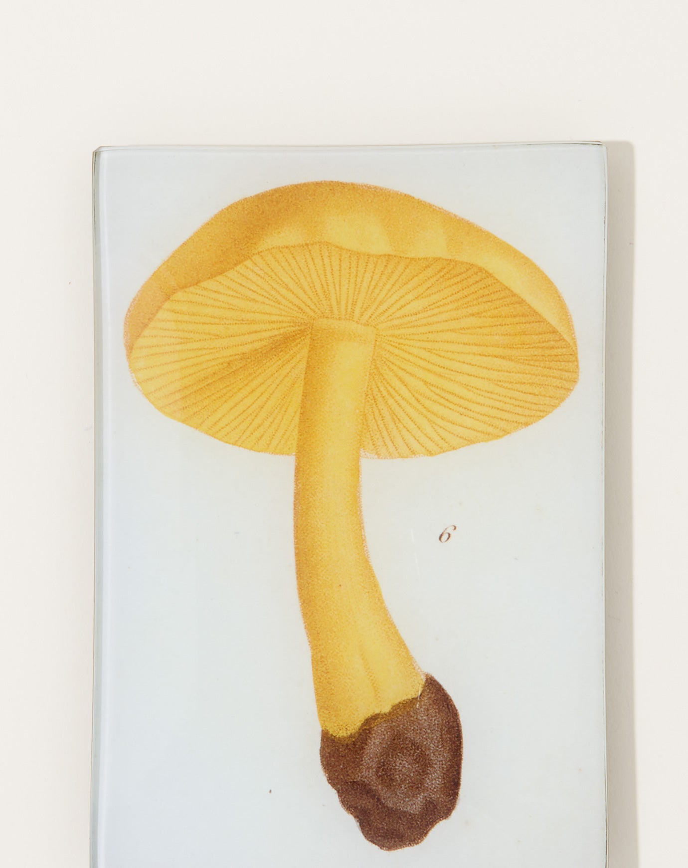 John Derian Mushroom Fig. 6 Mini Tray