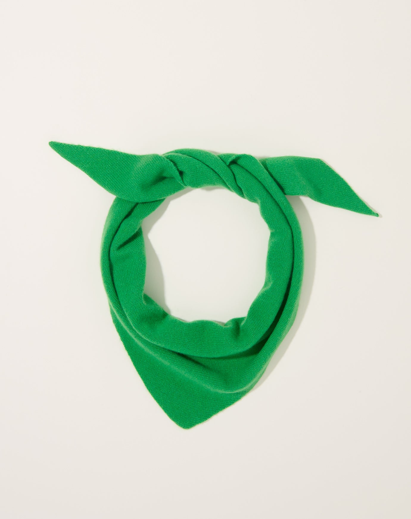 Lisa Yang Florianne Scarf in Basilico