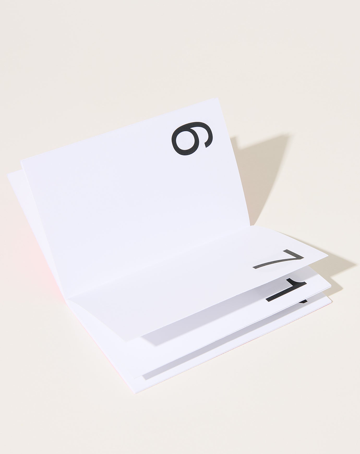 Marjolein Delhaas Journal 31 – No. 0521