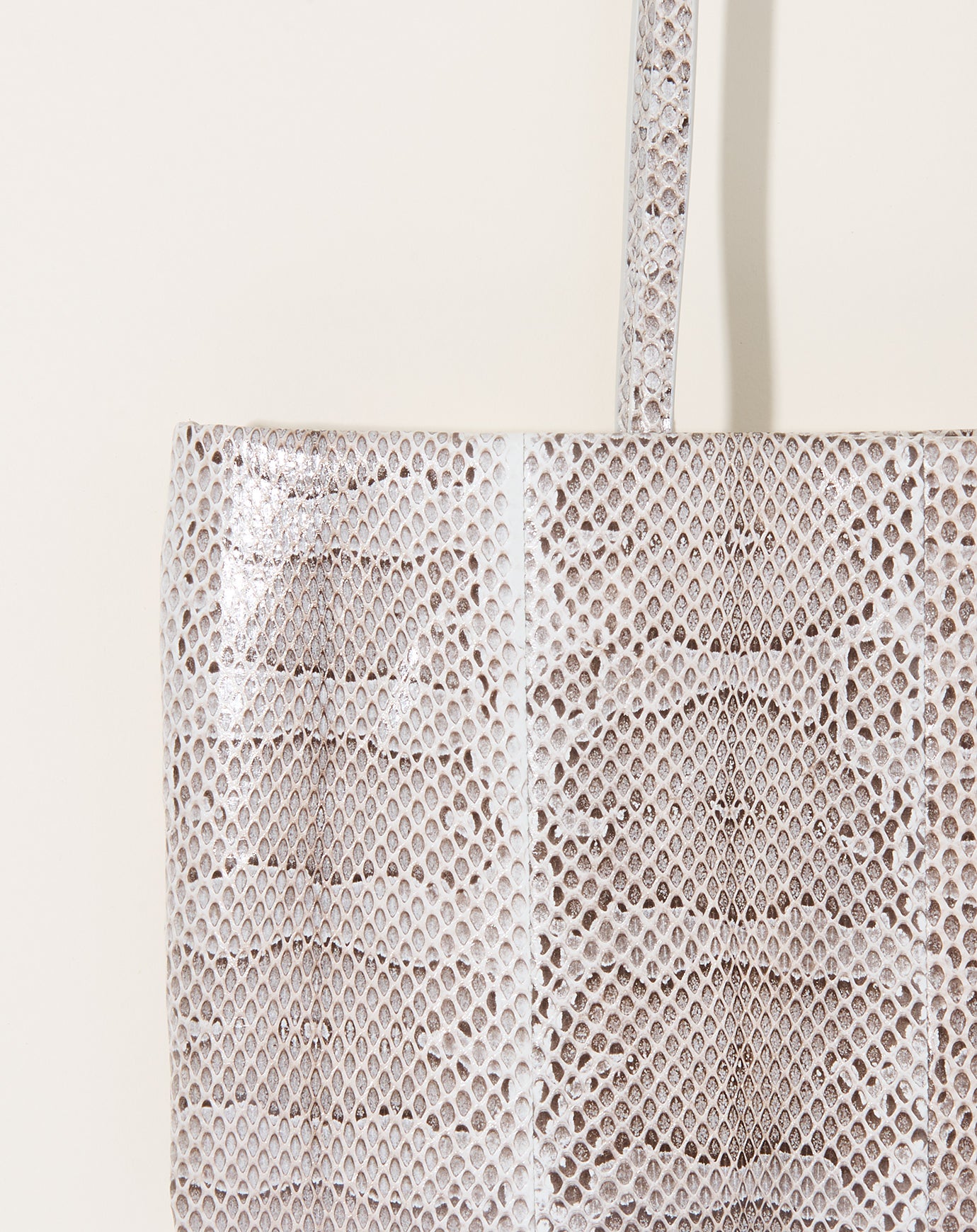 Rachel Comey Pillow Bag in Snake