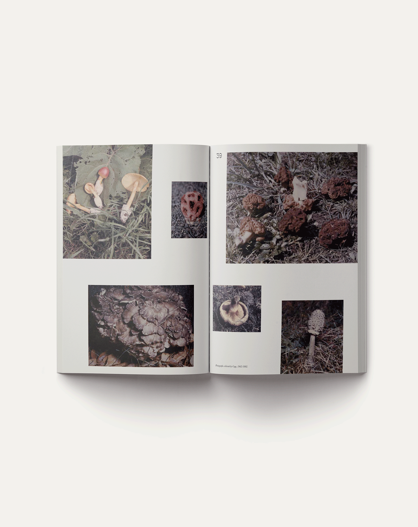Artbook John Cage: A Mycological Foray