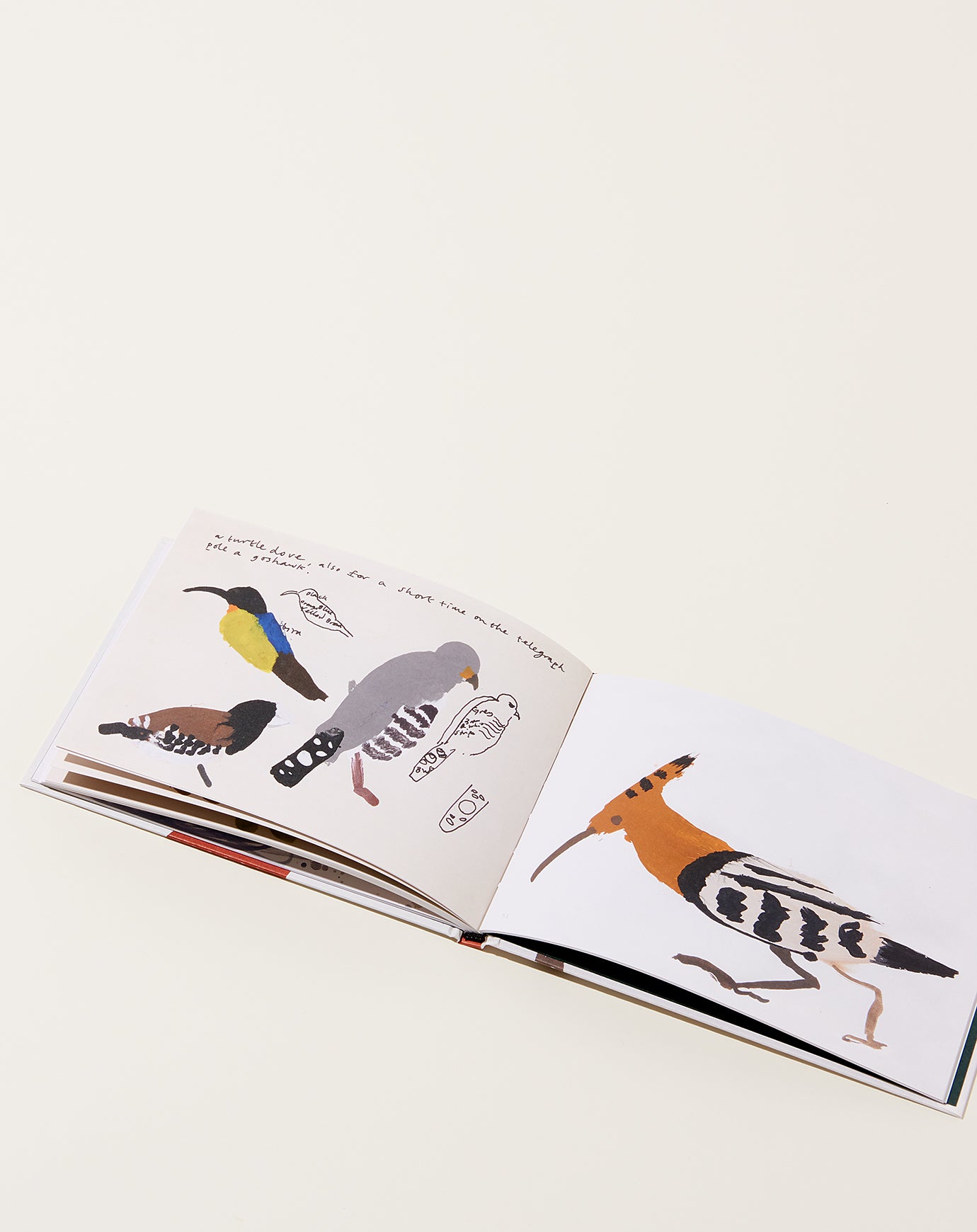 Artbook A Book of Birds