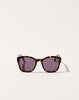 Eva Masaki BQE Sunglasses in Gotham