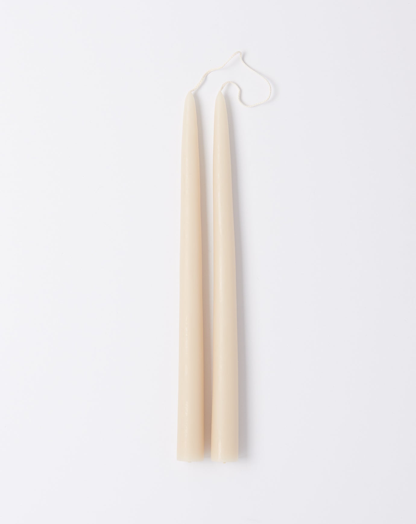 The Floral Society Pair of 12" Taper Candles in Parchment