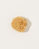 Fredericks & Mae Natural Sea Sponge