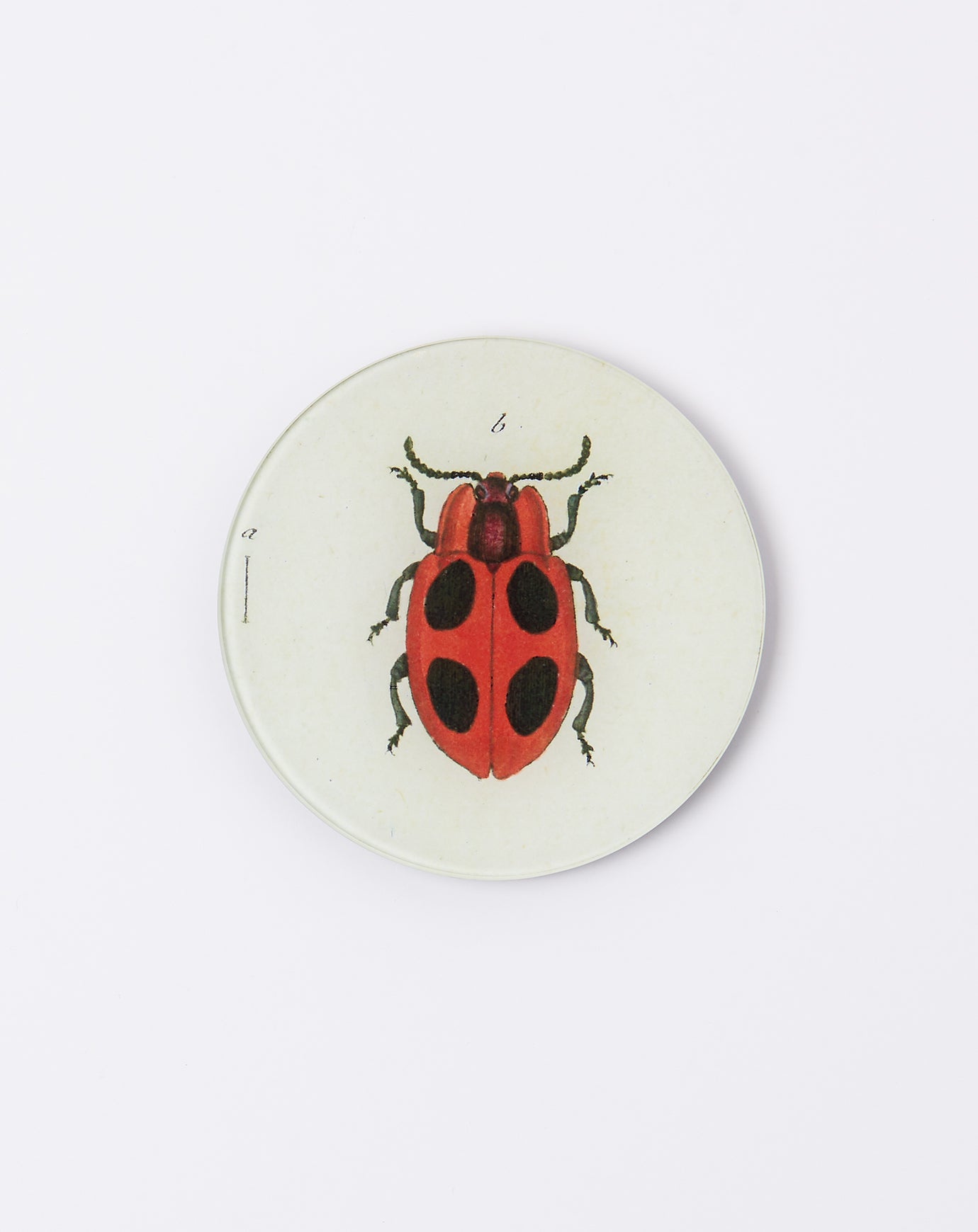 John Derian Big Dot Lady Bug 5 3/4" Round