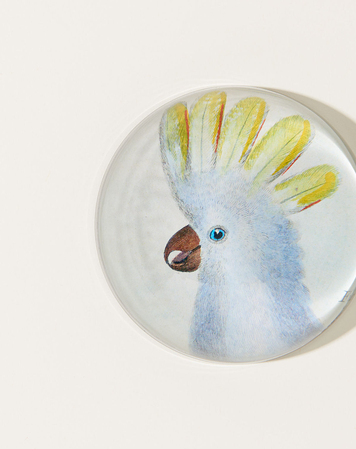 Cockadoodle Paperweight John Derian Covet + Lou Covet + Lou