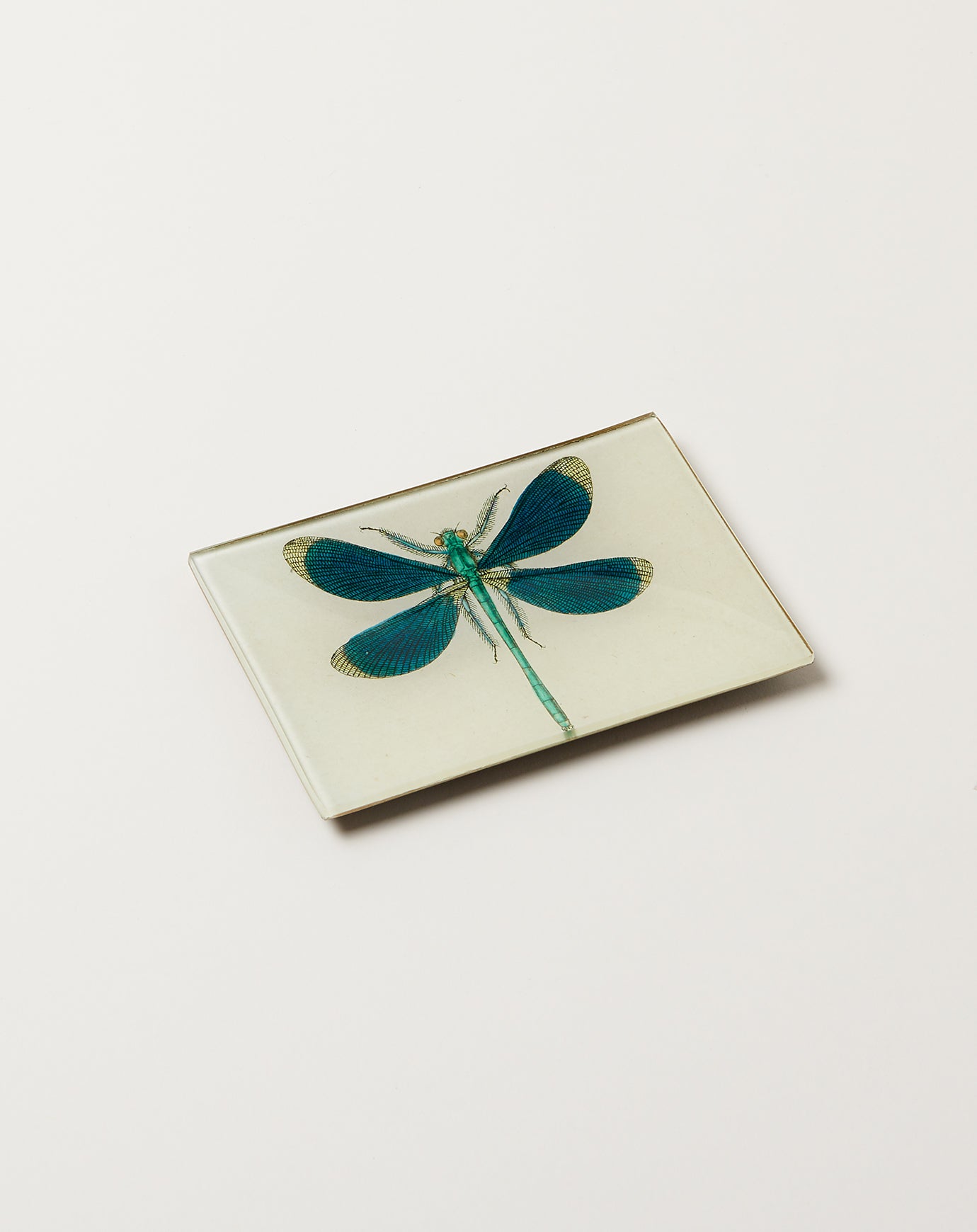 John Derian Dragonfly Pin Up Tiny Tray