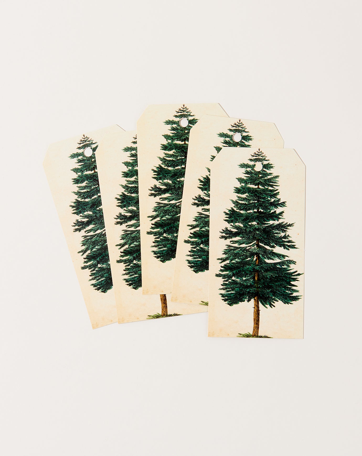 John Derian Evergreen Tree Gift Tags