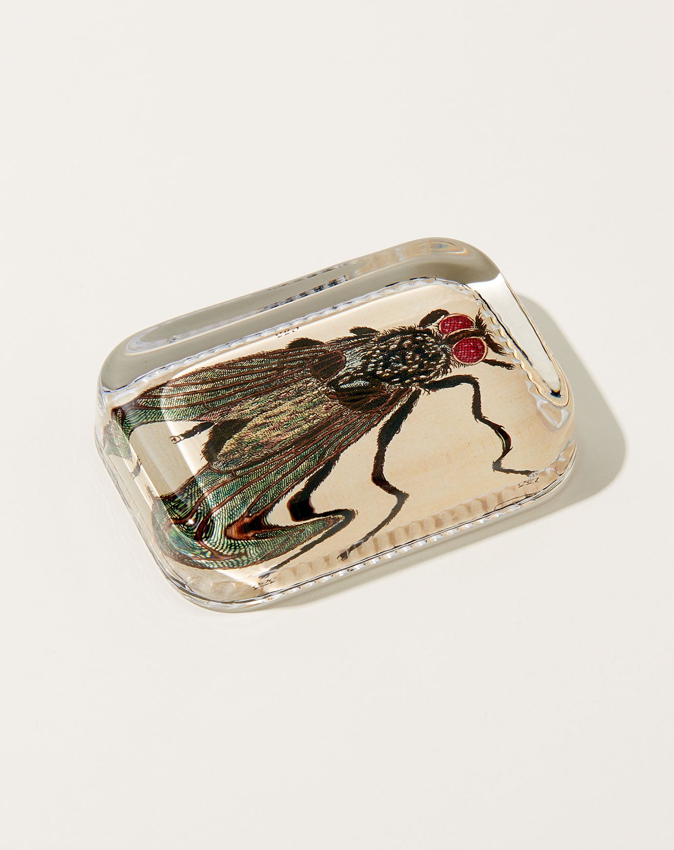 John Derian Fly Dotted Edge Paperweight