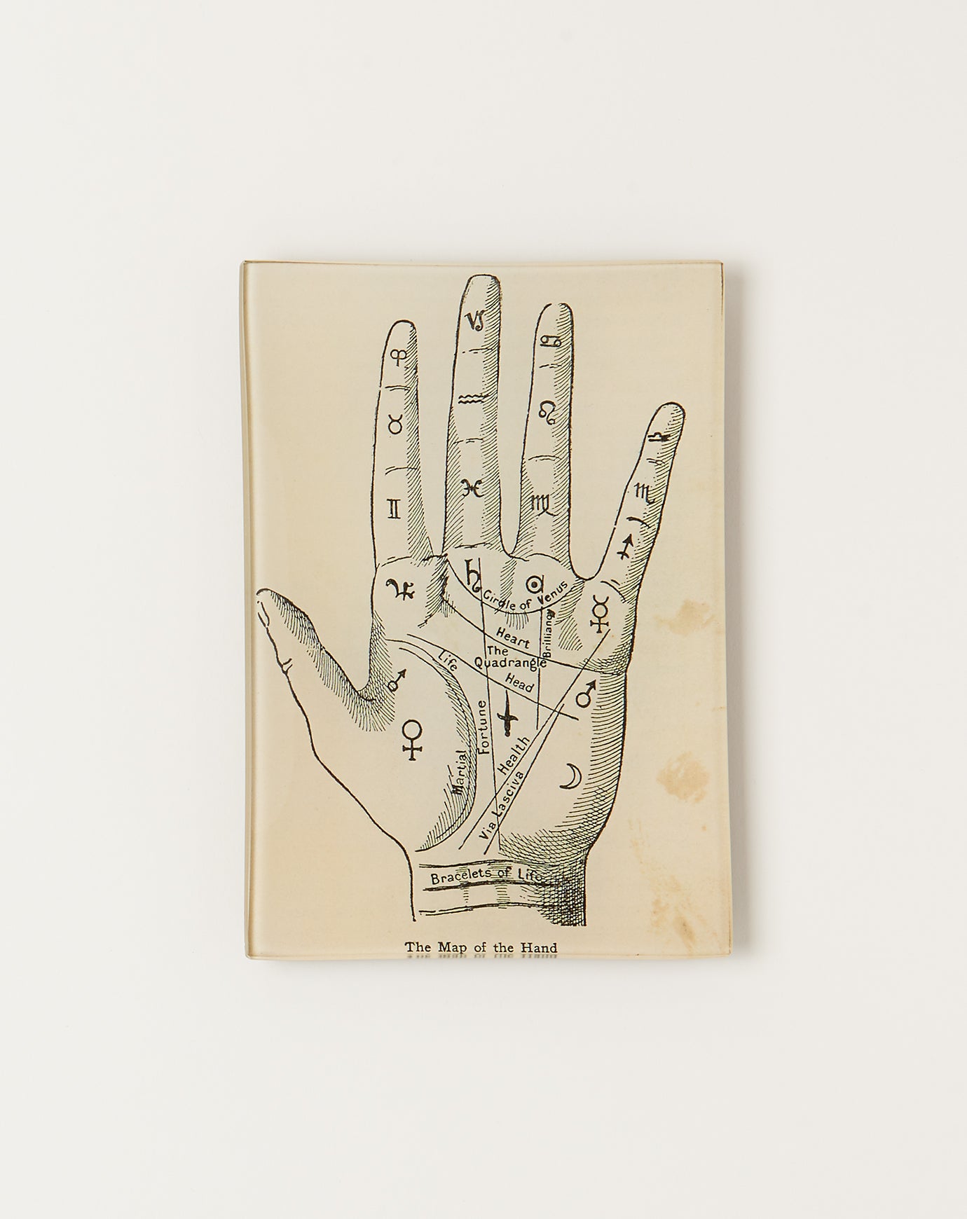 John Derian Map of the Hand Mini Tray