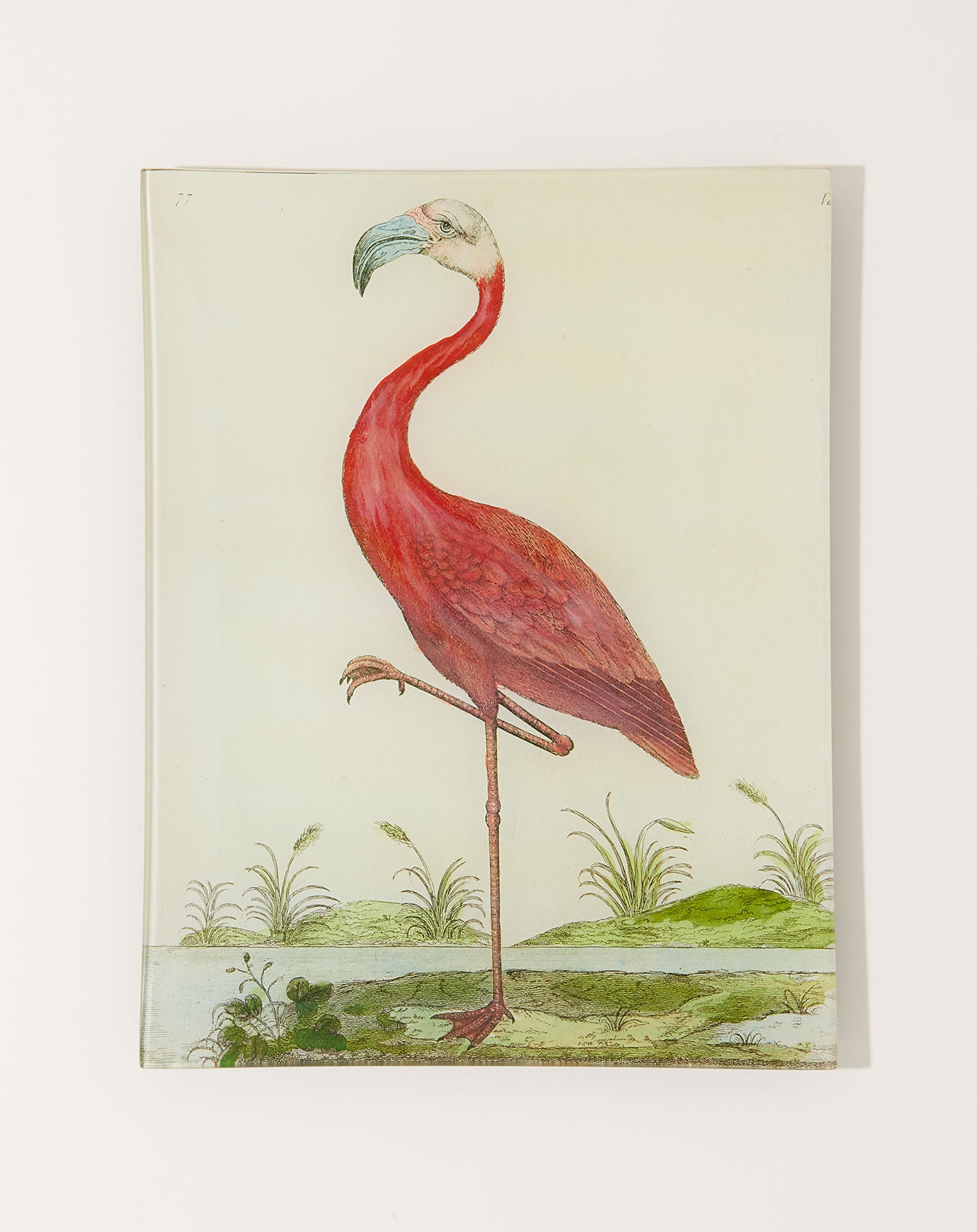 John Derian #13 Flamingo Tray