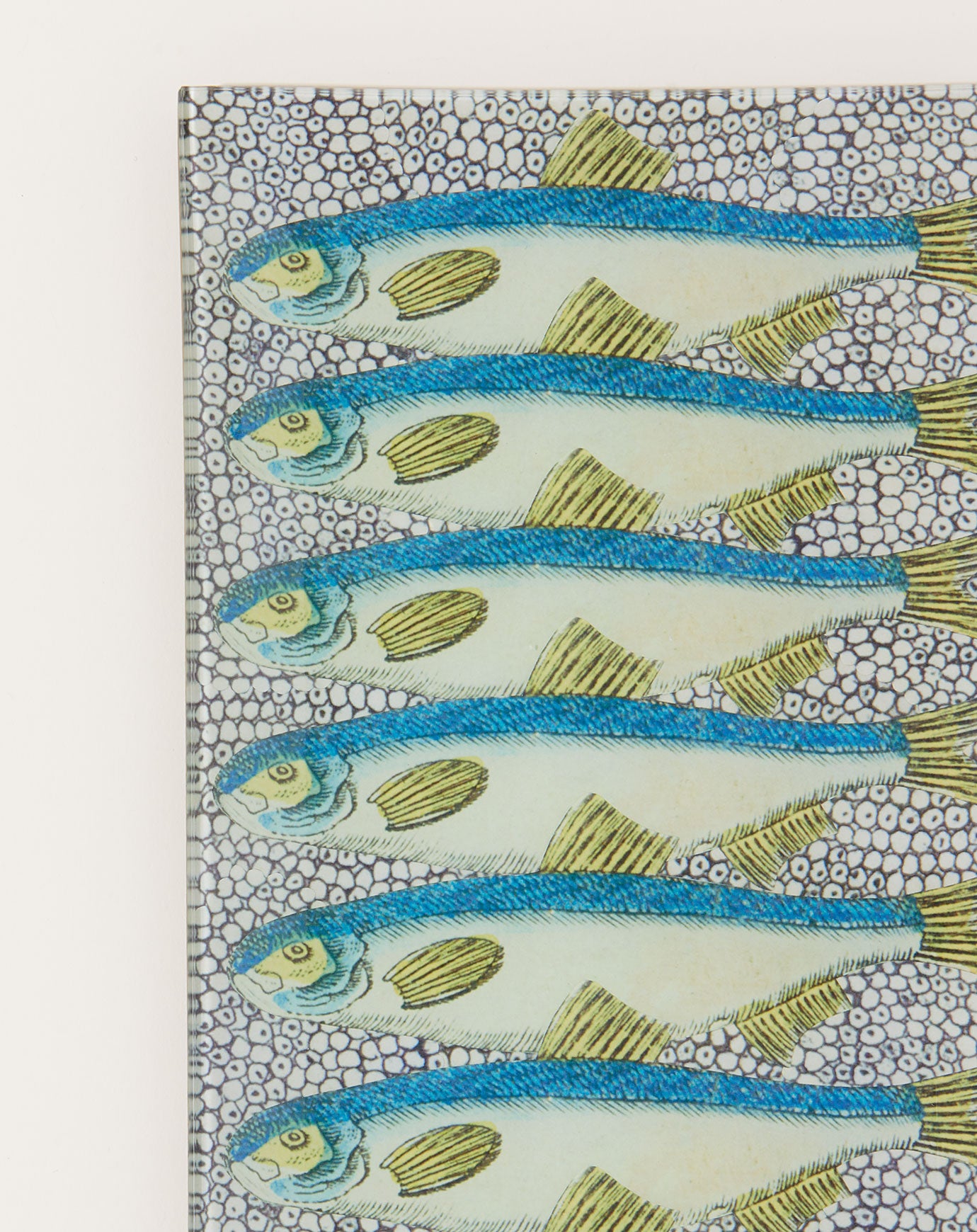 John Derian Sardines Tray