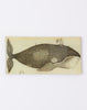John Derian Spouting Whale Pencil Tray