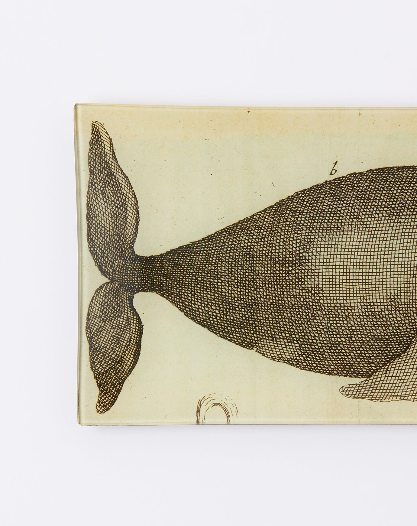 John Derian Spouting Whale Pencil Tray