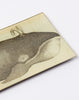 John Derian Spouting Whale Pencil Tray
