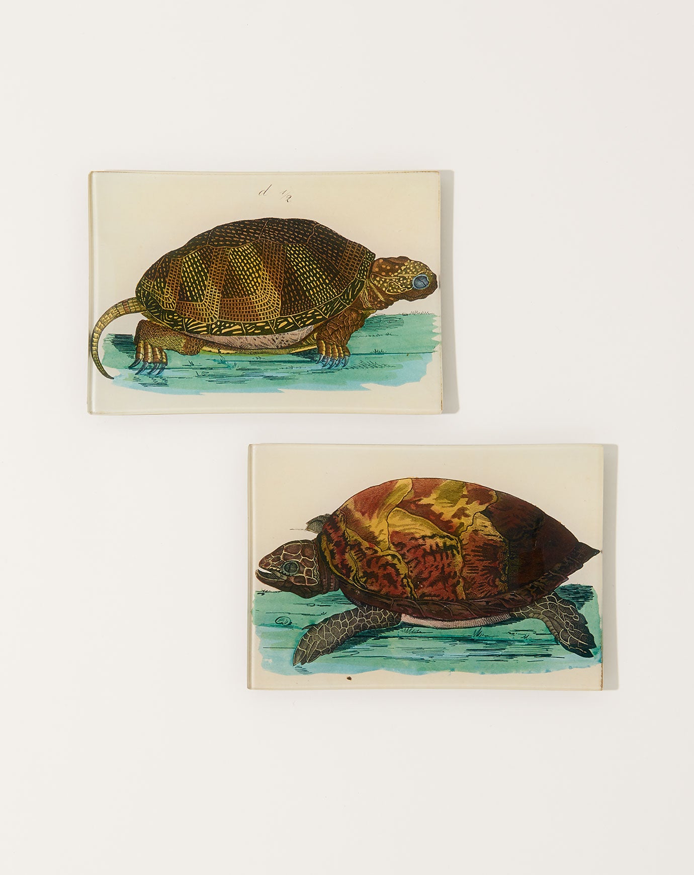 John Derian Turtle C Mini Tray