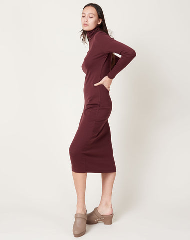 Turtleneck Dress in Fig