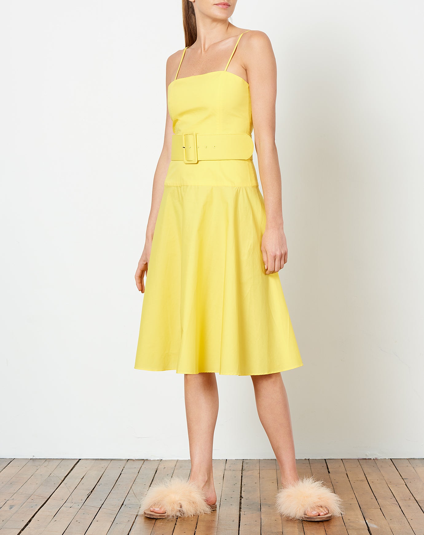 Rachel Antonoff Carter Belted Dress in Yellow