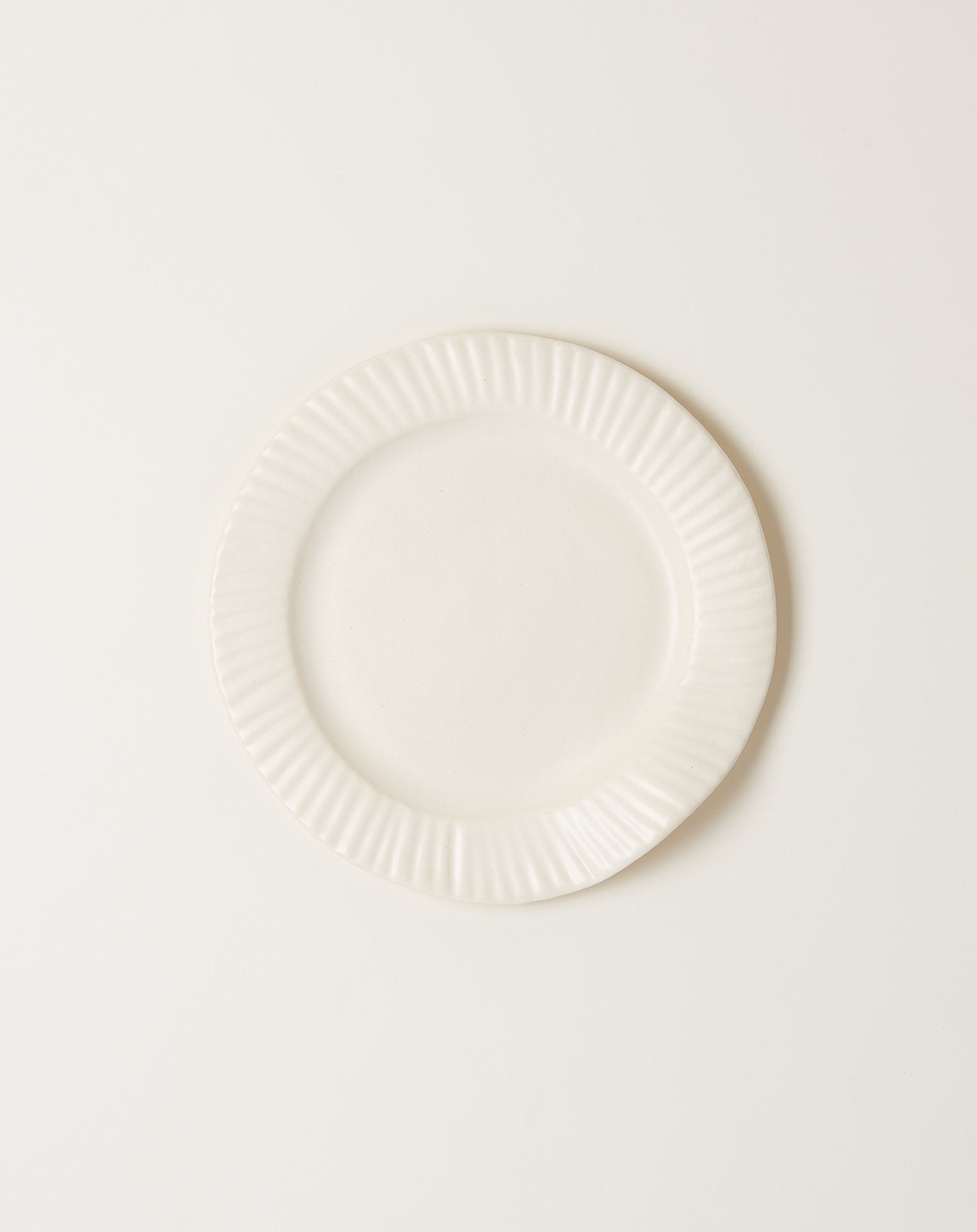 SIN Large Paper Plate